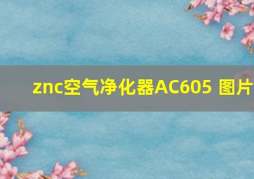 znc空气净化器AC605 图片